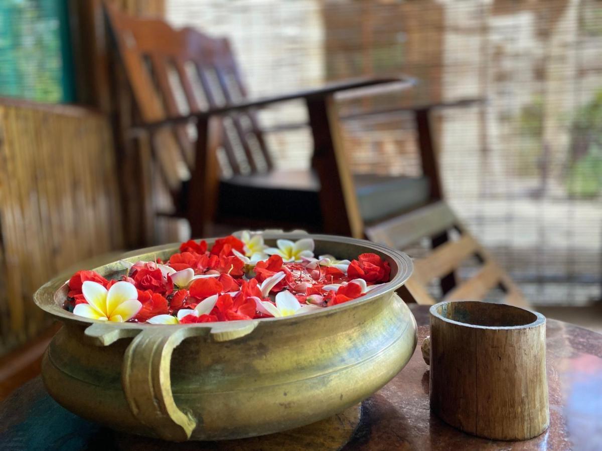 Hotel Wild Orchid Kala Pathar Beach Exteriér fotografie